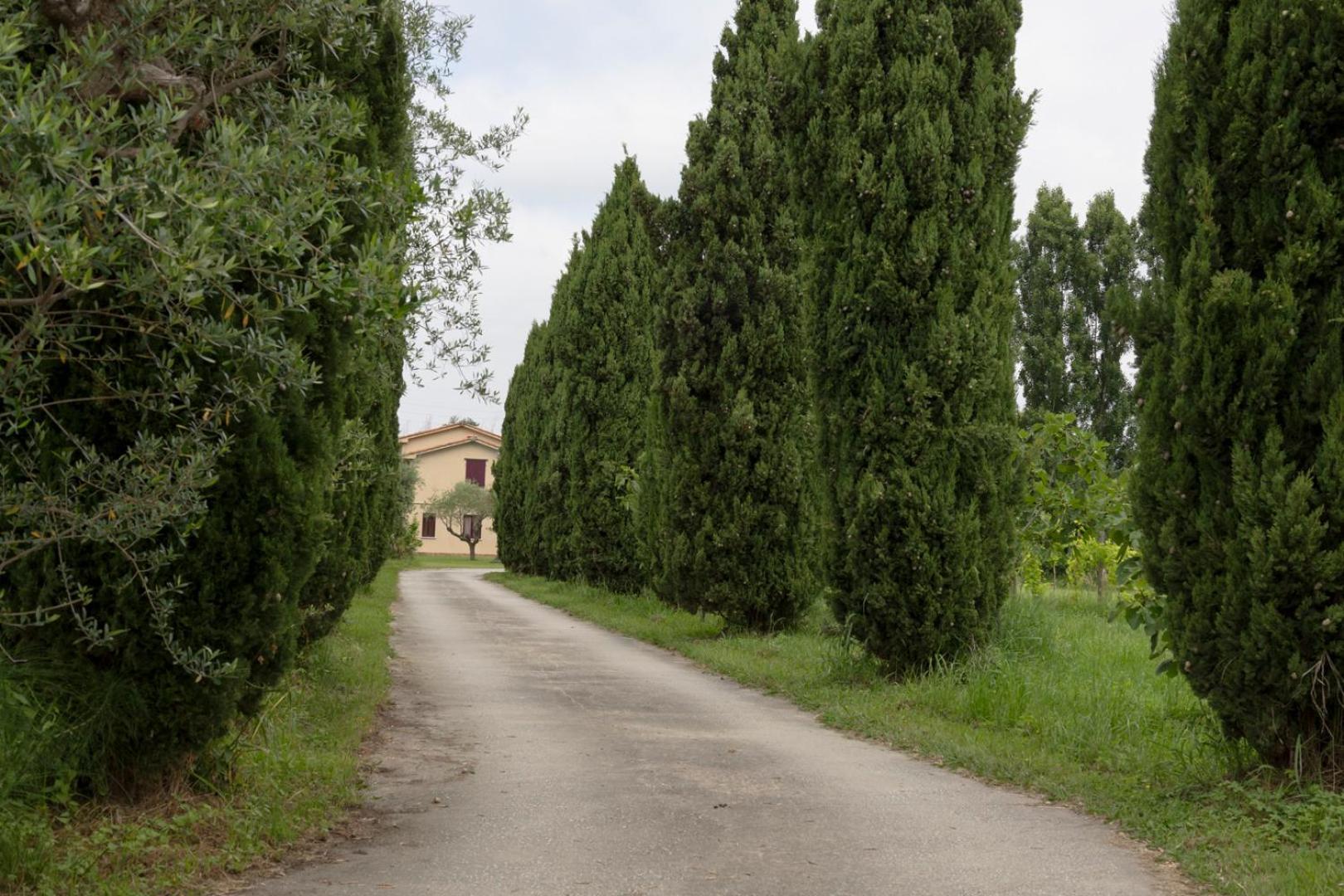 Fattoria Il Giardo Apartment Пиетрасанта Екстериор снимка