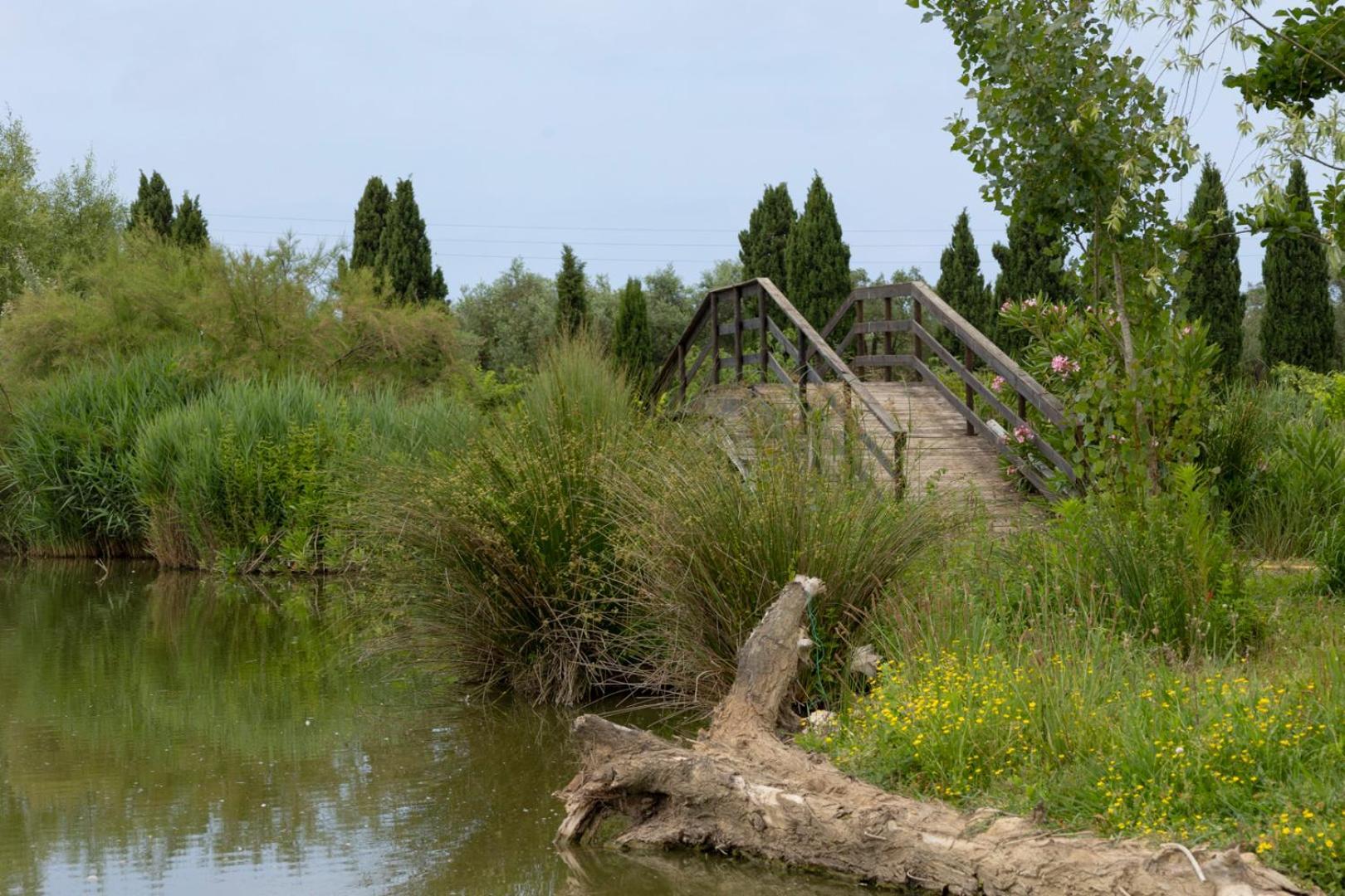 Fattoria Il Giardo Apartment Пиетрасанта Екстериор снимка