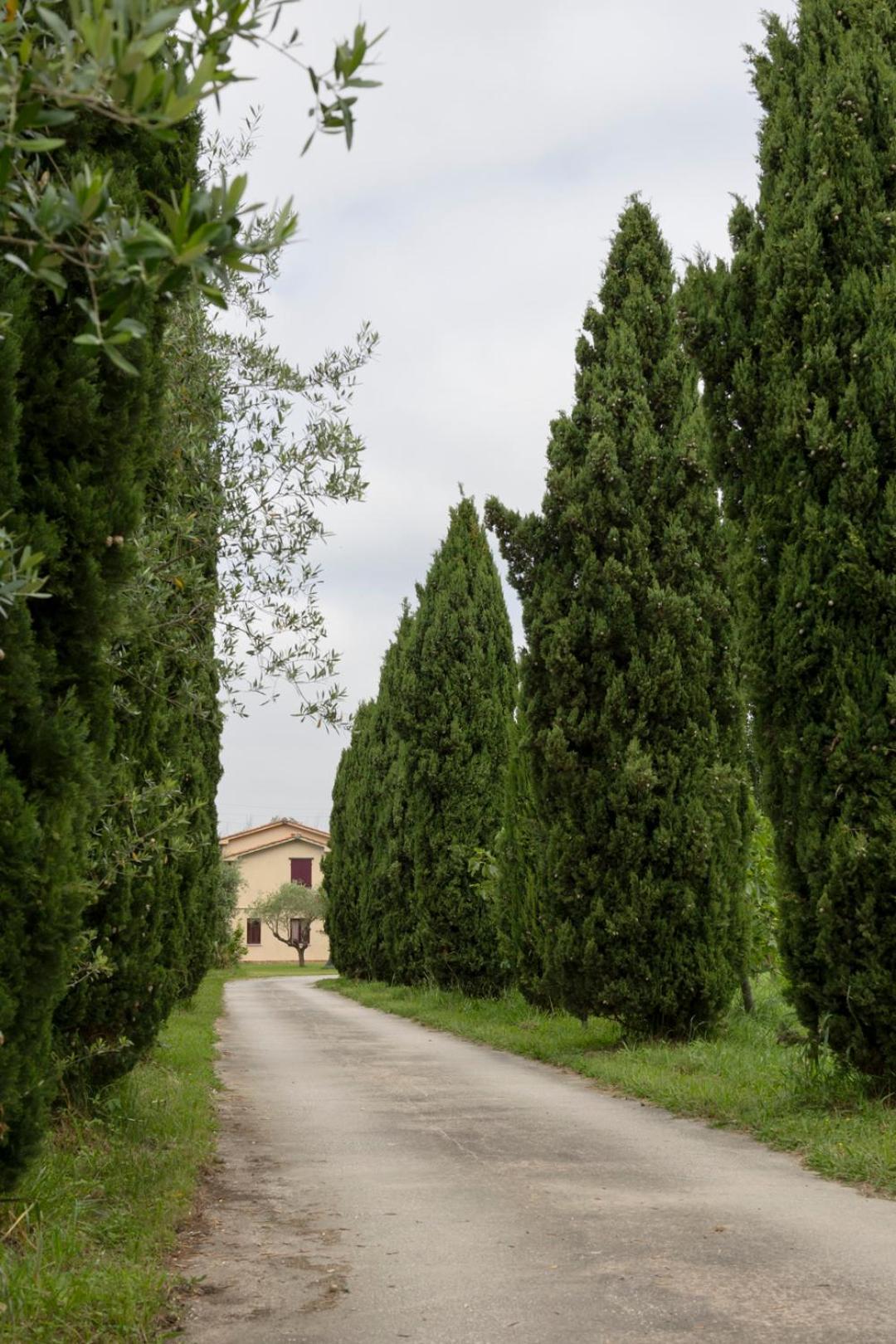 Fattoria Il Giardo Apartment Пиетрасанта Екстериор снимка