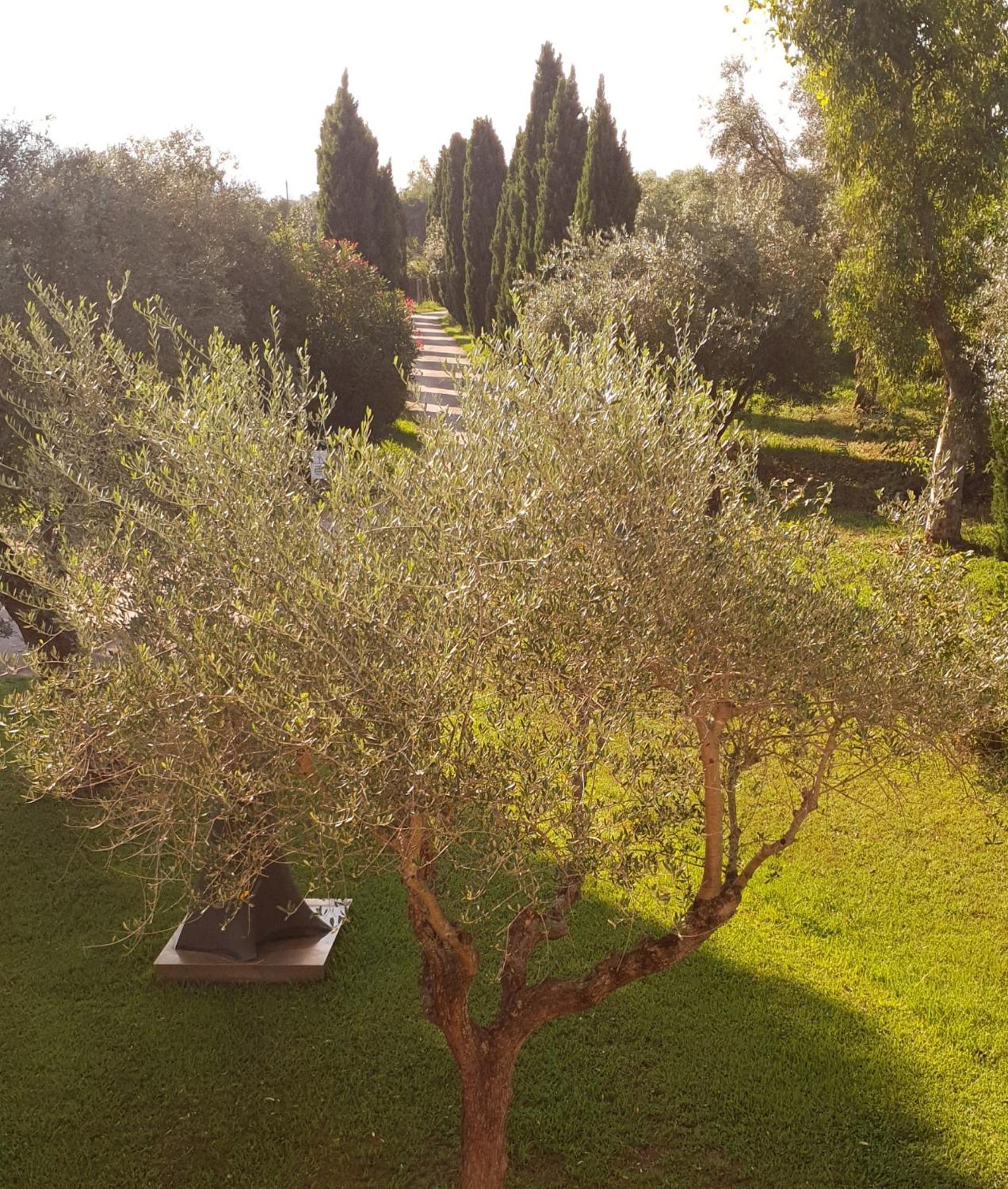 Fattoria Il Giardo Apartment Пиетрасанта Екстериор снимка
